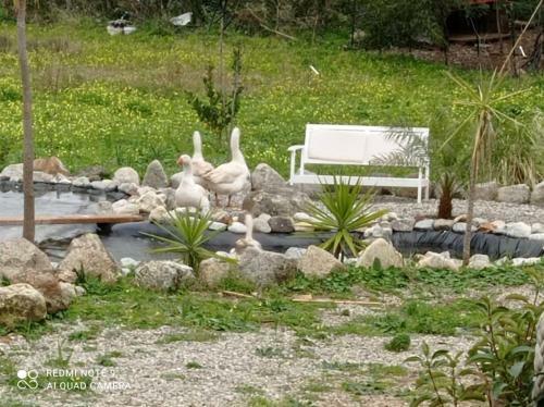 Bed & Breakfast Al Passo Di Thalia