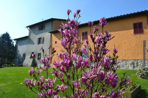 Agroturismo Agriturismo La Querce