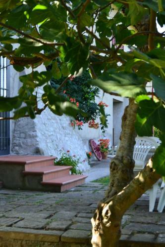 Agroturismo Agriturismo La Querce