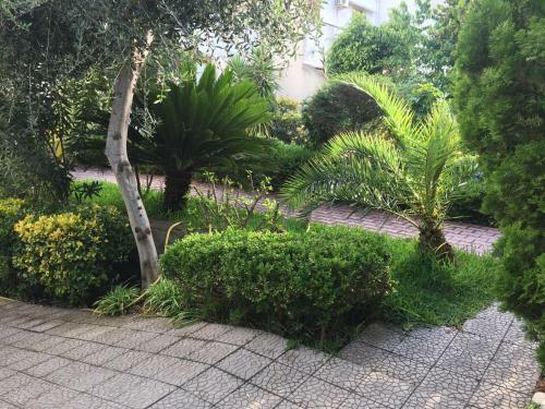 Apartamento Vico Petrillina Appartamento