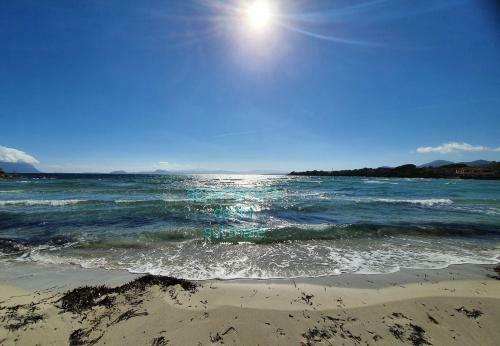 Apartamento Appartamento Delfini Sul Mare
