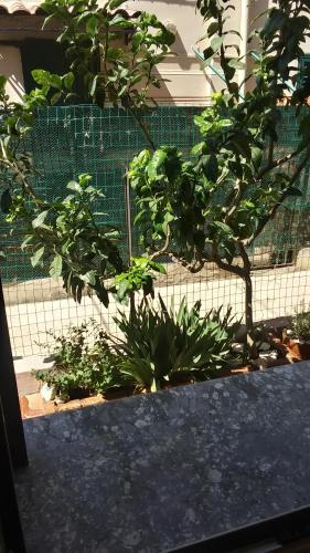 Bed & Breakfast Mediterraneo