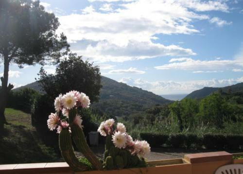 Apartamento Elba Riposatoio