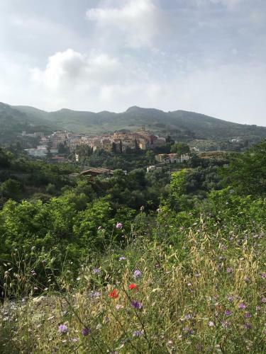 Apartamento Casa Bice