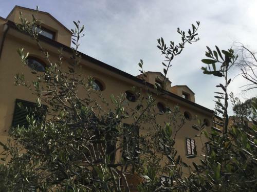 Apartamento Berenice