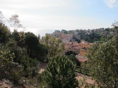 Apartamento Berenice