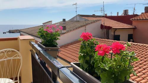 Apartamento La Casa Di Rosa