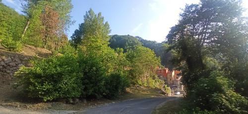 Bed & Breakfast Borgo Di Codeglia - Country Rooms