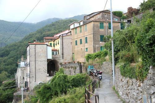 Casa Mai�