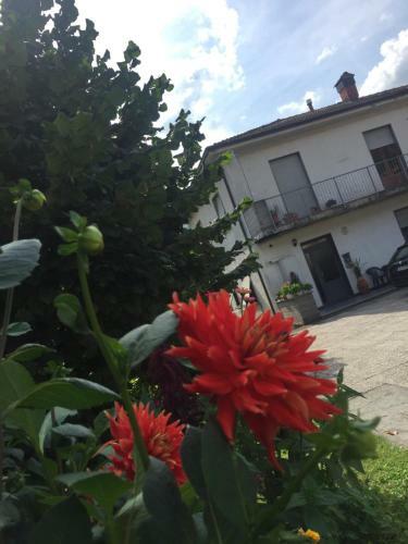 Apartamento La Magnolia