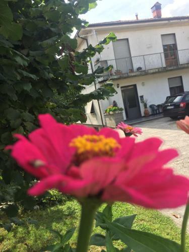 Apartamento La Magnolia