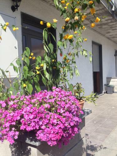 Apartamento La Magnolia