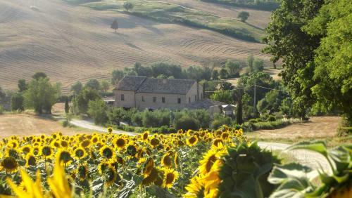 "la Casa Degli Ulivi Art B&b"