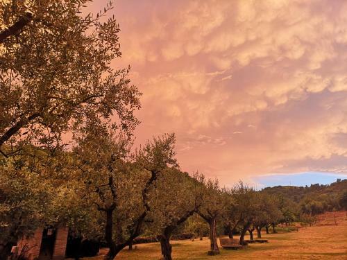 Agroturismo Pietra Antica