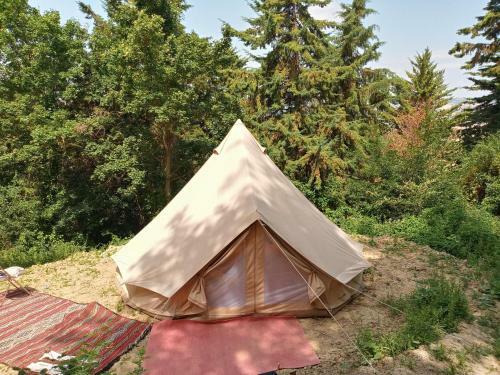 Bed & Breakfast La Casa Nel Bosco