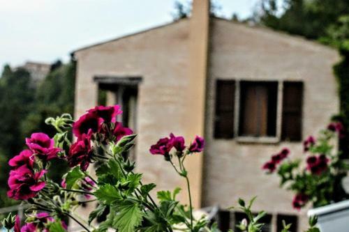 Bed & Breakfast La Casa Nel Bosco