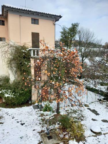 Apartamento Casa Vacanze Del Masdone