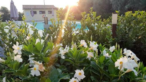 Agroturismo Punta Dei Lecci