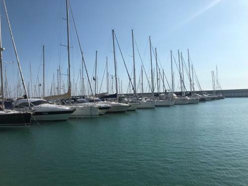 Apartamento Poggiodinocola - Casanocolino Ulivio-h