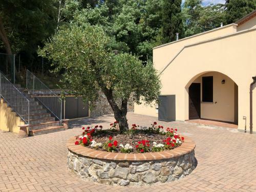 Apartamento Poggiodinocola - Casanocolino Ulivio-h