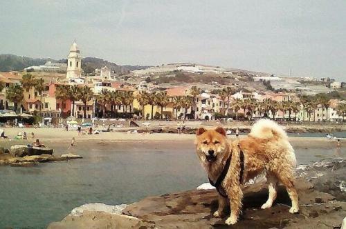 Apartamento Approdo