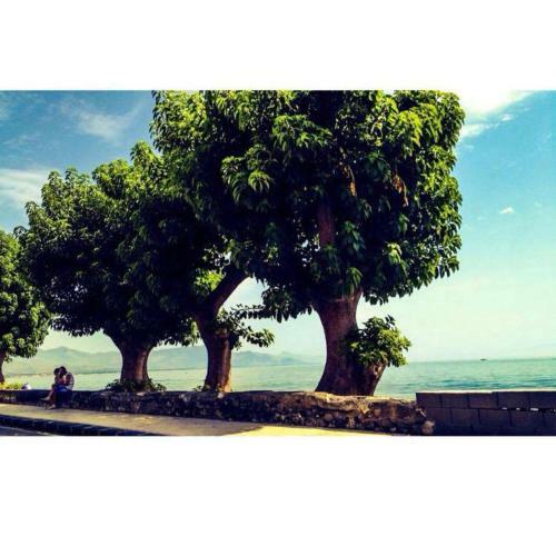 Villa Amun�
