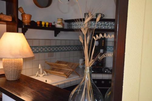 Villa Amun�