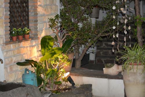 Villa Amun�