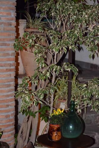 Villa Amun�