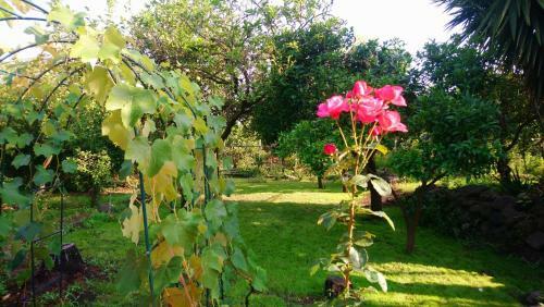 B&B Casanera