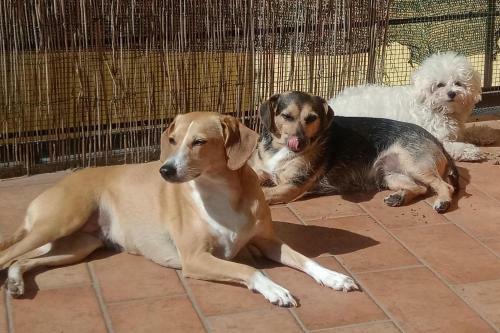 Bed & Breakfast L'angolo Di Betti