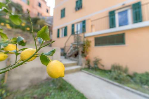 Apartamento Il Giardino Di Riomaggiore