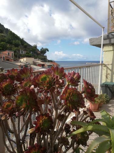 Apartamento Riorooms La Punta House By The Sea