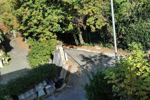 Apartamento Alloggio Turistico Id 14737 La Mansarda