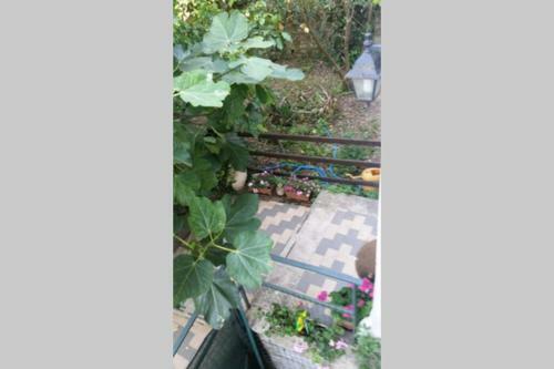 Apartamento Alloggio Turistico Id 14737 La Mansarda