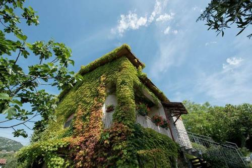 Casale Bamb� - Hidden Countryhouse