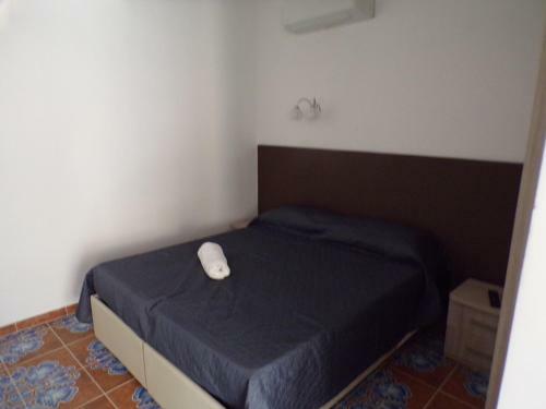 Hostal Nuova Aurora Rent Rooms