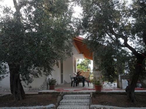 Villetta Tra Gli Ulivi
