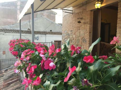 Apartamento Sulle Orme Di Federico II