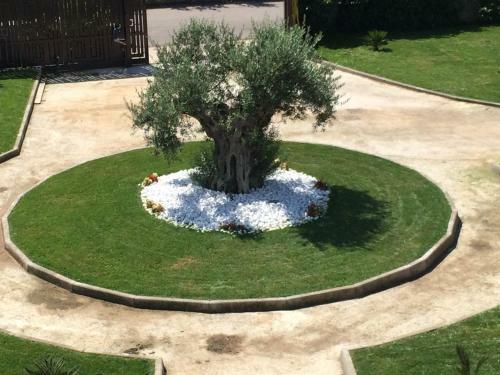 Hostal Affittacamere" Santa Lucia"