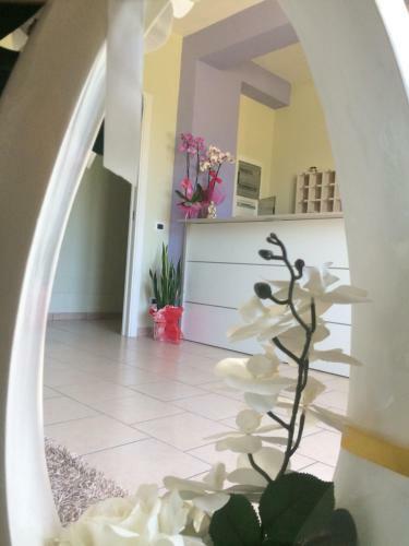 Hostal Affittacamere" Santa Lucia"