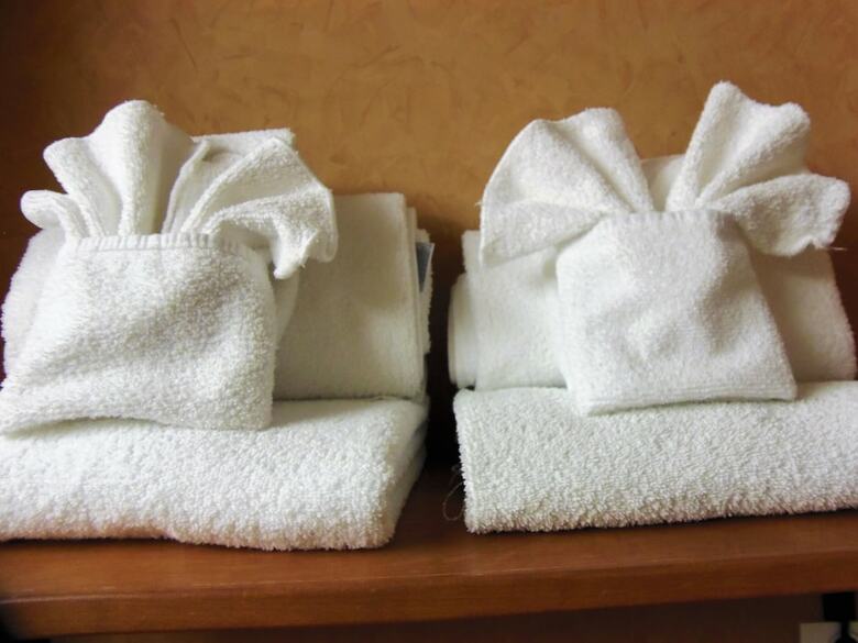 Hotel Rosslyn Inn & Suites