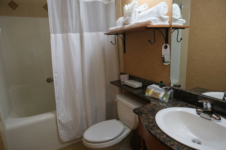Hotel Rosslyn Inn & Suites