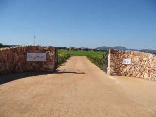 Hotel Son Cosmet
