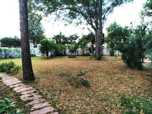 Apartamento Casa Sterlizia Roccelletta