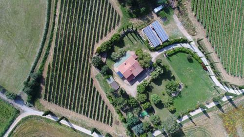 Agroturismo Tenuta Litiano