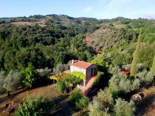 Ferienhaus Il-pino