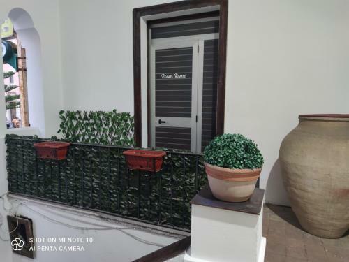 Hostal Room Rome