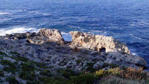 Mare Monte