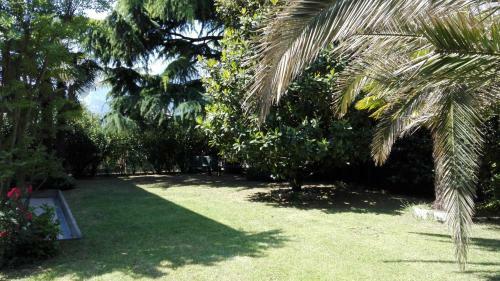 Apartamento Terrazza Sugli Ulivi